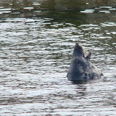 Nad Morzem ホームステイ *