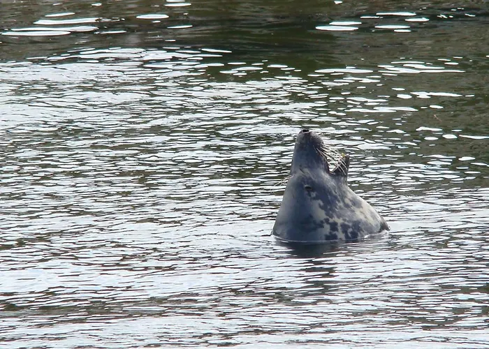 Nad Morzem Проживание в семье *